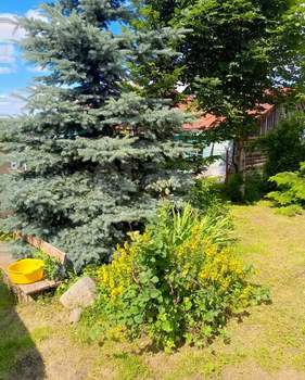 Дом 123м², 1-этажный, участок 21 сот.