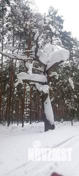 Дом 56м², 2-этажный, участок 10 сот.