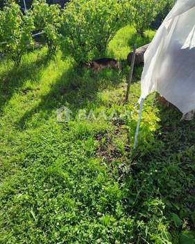 Дом 30м², 1-этажный, участок 5 сот.