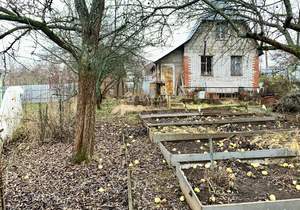 Дом 20м², 2-этажный, участок 4 сот.