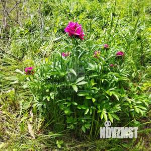 Дом 20м², 2-этажный, участок 4 сот.