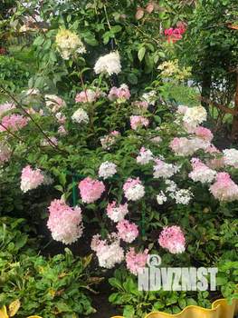 Дом 40м², 2-этажный, участок 4 сот.  