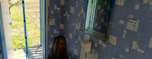 Дом 50м², 2-этажный, участок 5 сот.  