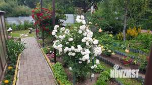 Дом 40м², 2-этажный, участок 4 сот.  