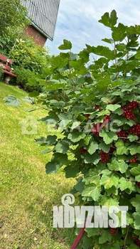 Дом 49м&sup2;, 2-этажный, участок 4 сот.  