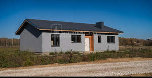 Дом 124м², 1-этажный, участок 9 сот.  