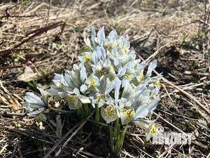 Дом 22м&sup2;, 1-этажный, участок 5 сот.  