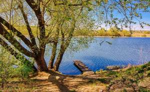 Дом 150м², 2-этажный, участок 13 сот.  