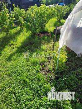 Дом 30м&sup2;, 1-этажный, участок 5 сот.  