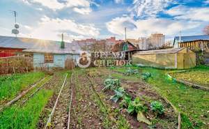 Дом 50м&sup2;, 1-этажный, участок 6 сот.  