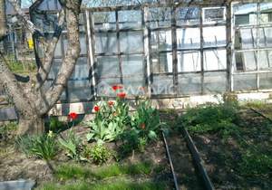 Дом 40м&sup2;, 2-этажный, участок 4 сот.  