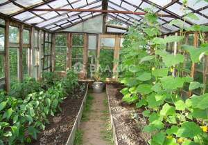 Дом 40м&sup2;, 2-этажный, участок 4 сот.  