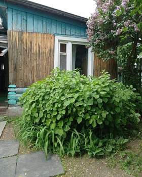 Дом 46м², 1-этажный, участок 5 сот.  