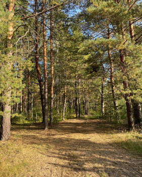 Дом 148м², 2-этажный, участок 6 сот.  