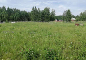 Дом 150м&sup2;, 2-этажный, участок 20 сот.  