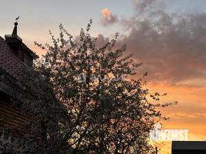 Дом 49м&sup2;, 2-этажный, участок 4 сот.  