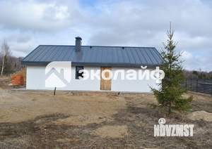 Дом 90м&sup2;, 1-этажный, участок 9 сот.  