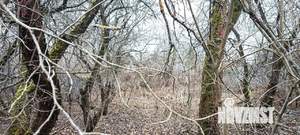 Дом 17м², 1-этажный, участок 4 сот.  