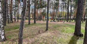 Дача 50м², 2-этажный, участок 4 сот.  