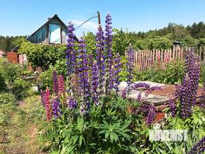 Дом 50м&sup2;, 2-этажный, участок 10 сот.  