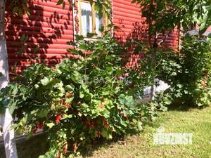 Дом 49м&sup2;, 2-этажный, участок 4 сот.  