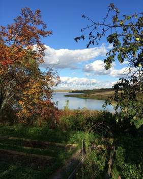 Дом 49м&sup2;, 2-этажный, участок 4 сот.  