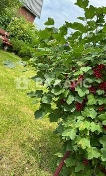 Дом 49м&sup2;, 2-этажный, участок 4 сот.  