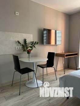 Студия квартира, посуточно, 25м2, 6/17 этаж