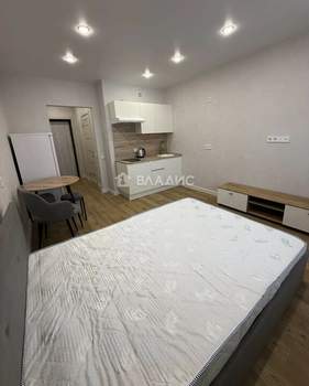 Студия квартира, на длительный срок, 24м2, 13/17 этаж