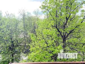 Студия квартира, посуточно, 27м2, 5/5 этаж