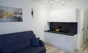 Студия квартира, на длительный срок, 23м2, 10/17 этаж