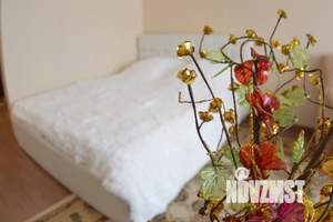 1-к квартира, посуточно, 50м2, 1/1 этаж