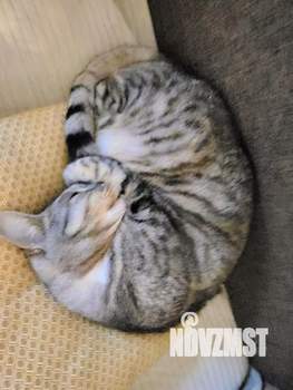 2-к квартира, на длительный срок, 52м2, 1/2 этаж