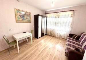 Студия квартира, на длительный срок, 24м2, 5/17 этаж