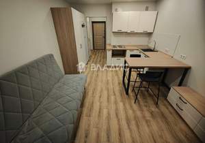 Студия квартира, на длительный срок, 25м2, 8/17 этаж