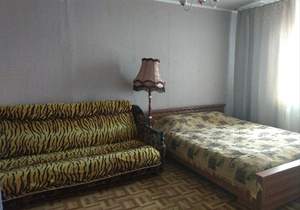 1-к квартира, на длительный срок, 30м2, 9/9 этаж