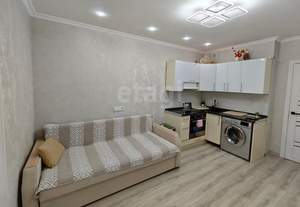 Студия квартира, на длительный срок, 29м2, 7/17 этаж