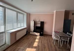 1-к квартира, на длительный срок, 30м2, 10/17 этаж
