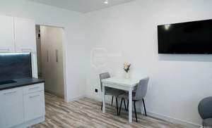 Студия квартира, на длительный срок, 23м2, 10/17 этаж