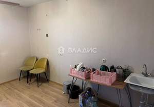 Студия квартира, на длительный срок, 24м2, 10/17 этаж