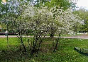 1-к квартира, на длительный срок, 30м2, 1/5 этаж