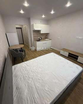 Студия квартира, на длительный срок, 24м2, 13/17 этаж