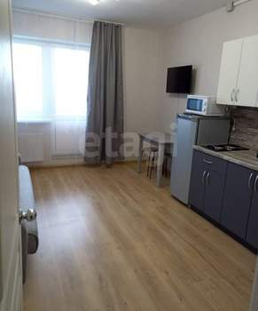 Студия квартира, на длительный срок, 30м2, 8/17 этаж