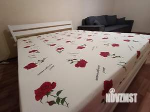 1-к квартира, посуточно, 30м2, 4/5 этаж