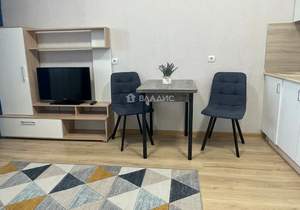 Студия квартира, на длительный срок, 24м2, 12/17 этаж