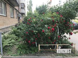 2-к квартира, вторичка, 45м2, 2/5 этаж