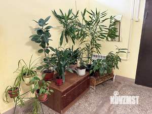 2-к квартира, вторичка, 71м2, 17/17 этаж