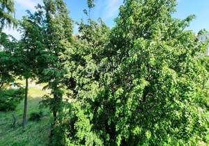 1-к квартира, вторичка, 20м2, 3/9 этаж