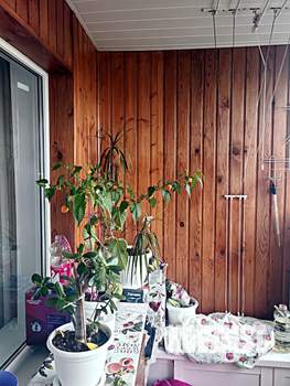 3-к квартира, вторичка, 66м2, 7/9 этаж