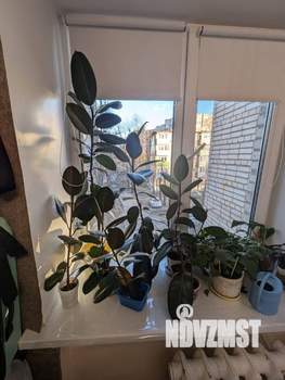 3-к квартира, вторичка, 59м2, 3/9 этаж